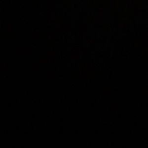 Meet your Posher, Elicia